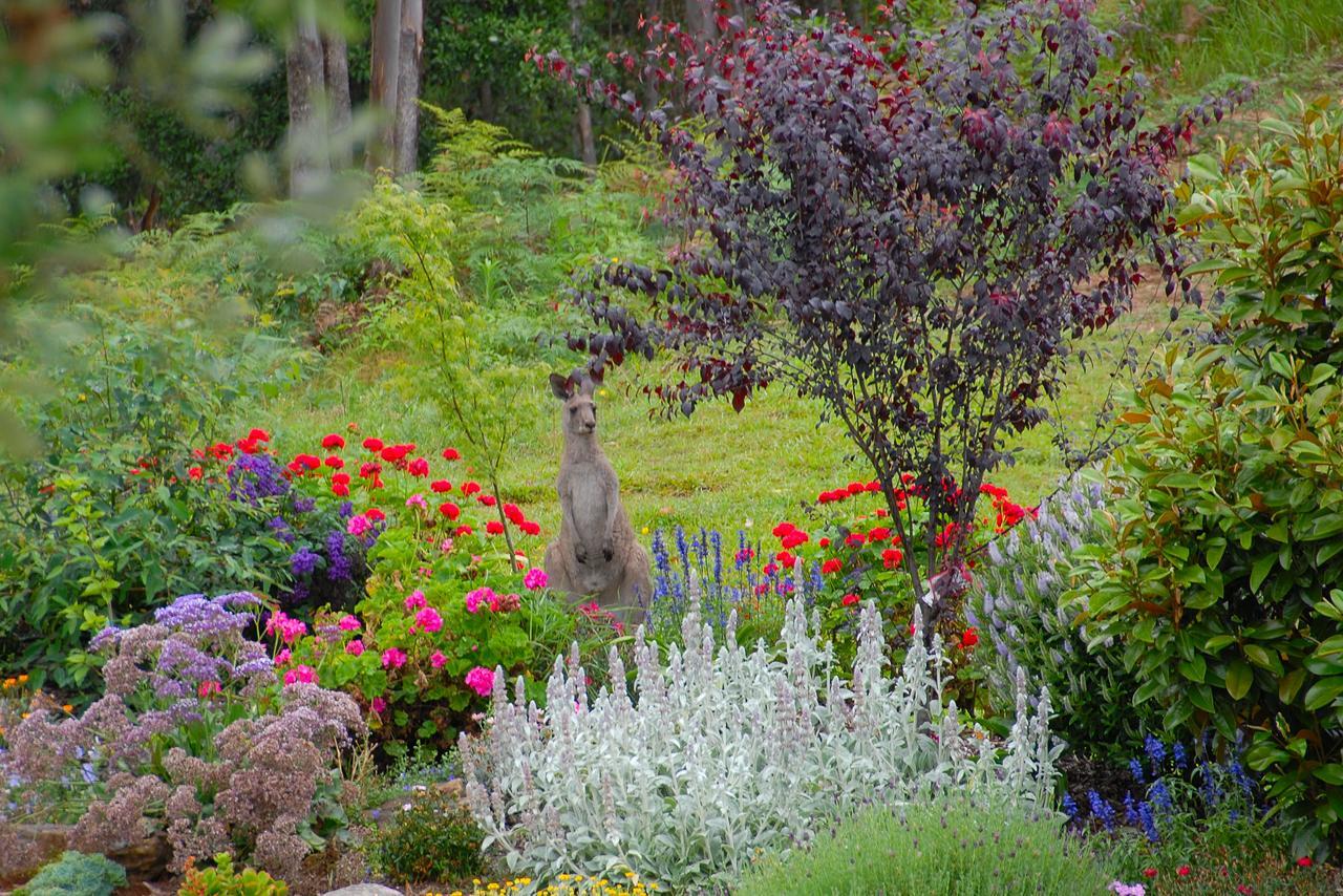 Skyview Villa Kangaroo Valley Buitenkant foto